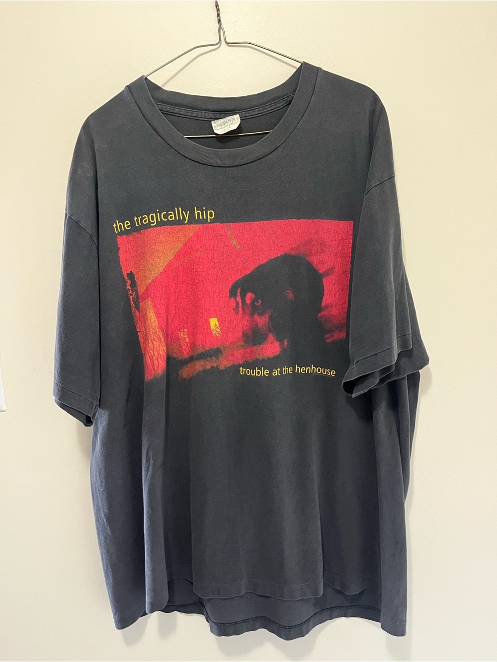 Vintage 1996 The Tragically Hip Trouble At The Henhouse Tour Shirt XL Stanfields